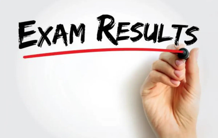 CA Results 2024: Who Tops CA Final