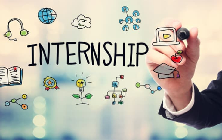 Government Offers 6-Month Internship