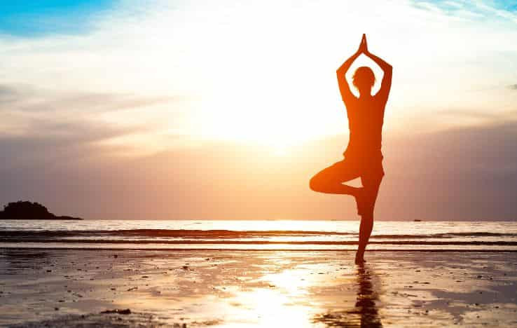 Yoga Skill Courses