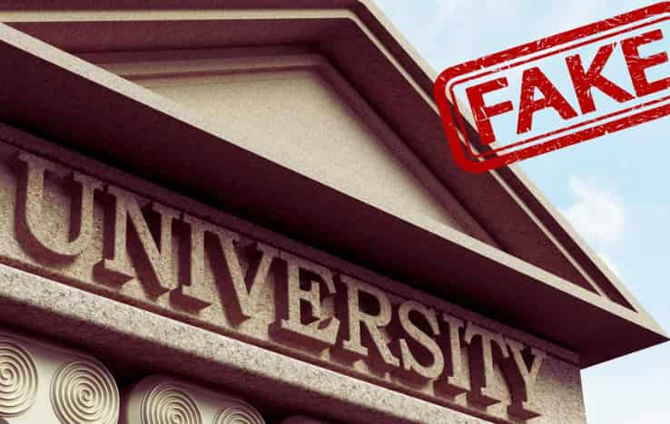 UGC’s 2025 List Reveals