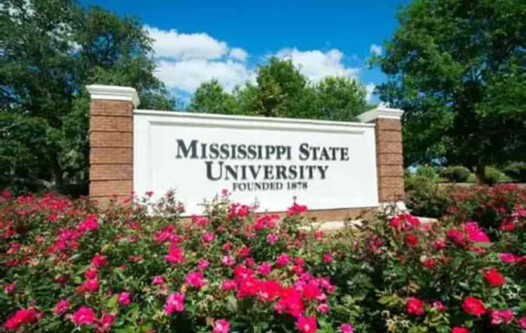 MSU Celebrates Record Student Enrollment Surge